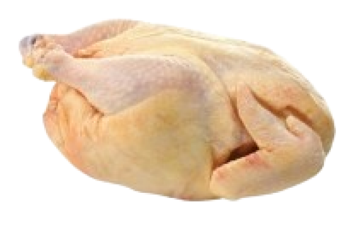 Imagem de https://cdn.interago.com.br/img/png/w_0_q_8/395/mc/Páginas/02. Produtos/Aves/Galinha_e_Galo