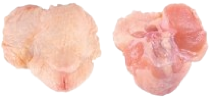 Imagem de https://cdn.interago.com.br/img/png/w_0_q_8/395/mc/Páginas/02. Produtos/Aves/Sambiquira