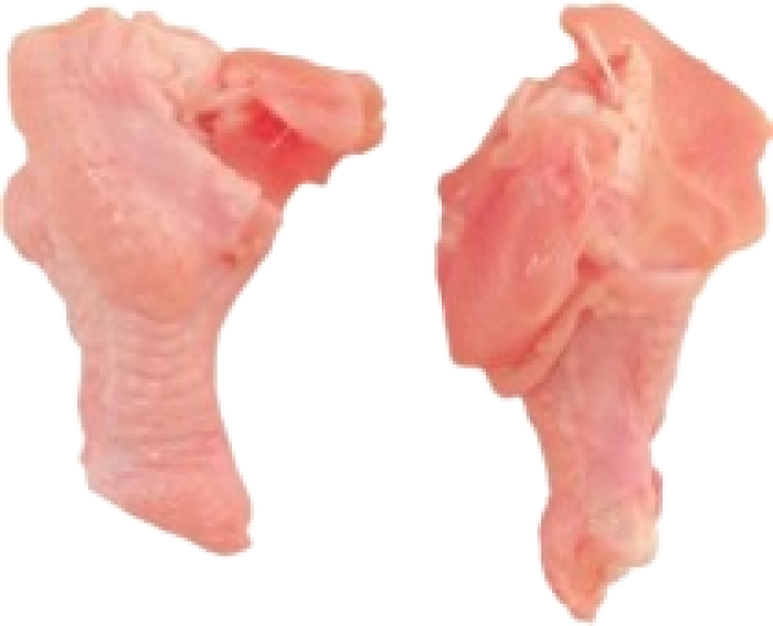 Imagem de https://cdn.interago.com.br/img/png/w_0_q_8/395/mc/Páginas/02. Produtos/Aves/coxinha_da_asa
