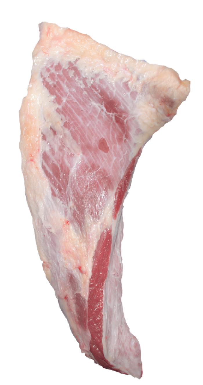 Imagem de https://cdn.interago.com.br/img/png/w_0_q_8/395/mc/Páginas/02. Produtos/Bovinos/11_07_19_17_07_490Maminhadaalcatra