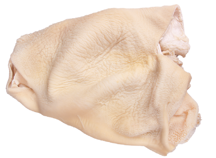 Imagem de https://cdn.interago.com.br/img/png/w_0_q_8/395/mc/Páginas/02. Produtos/Bovinos/Bucho