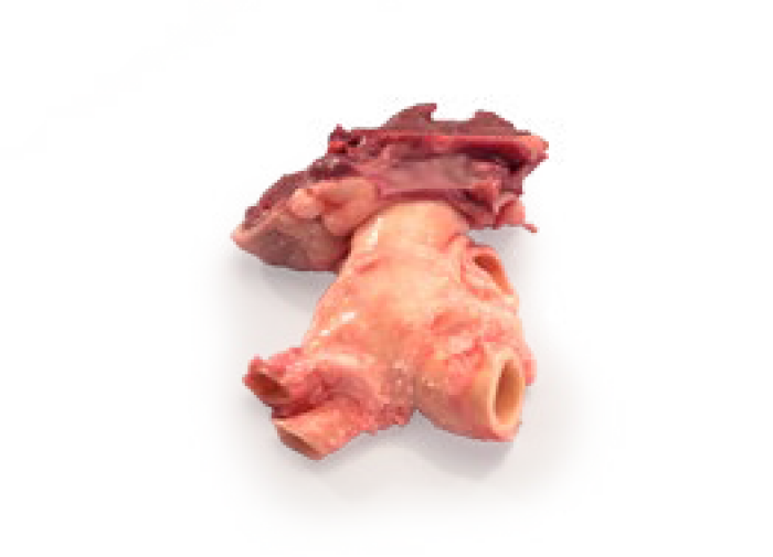 Imagem de https://cdn.interago.com.br/img/png/w_0_q_8/395/mc/Páginas/02. Produtos/Suínos/Válvulas