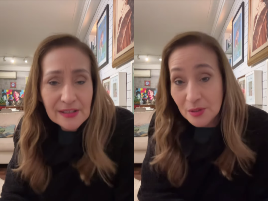Imagem sonia-abrao-video