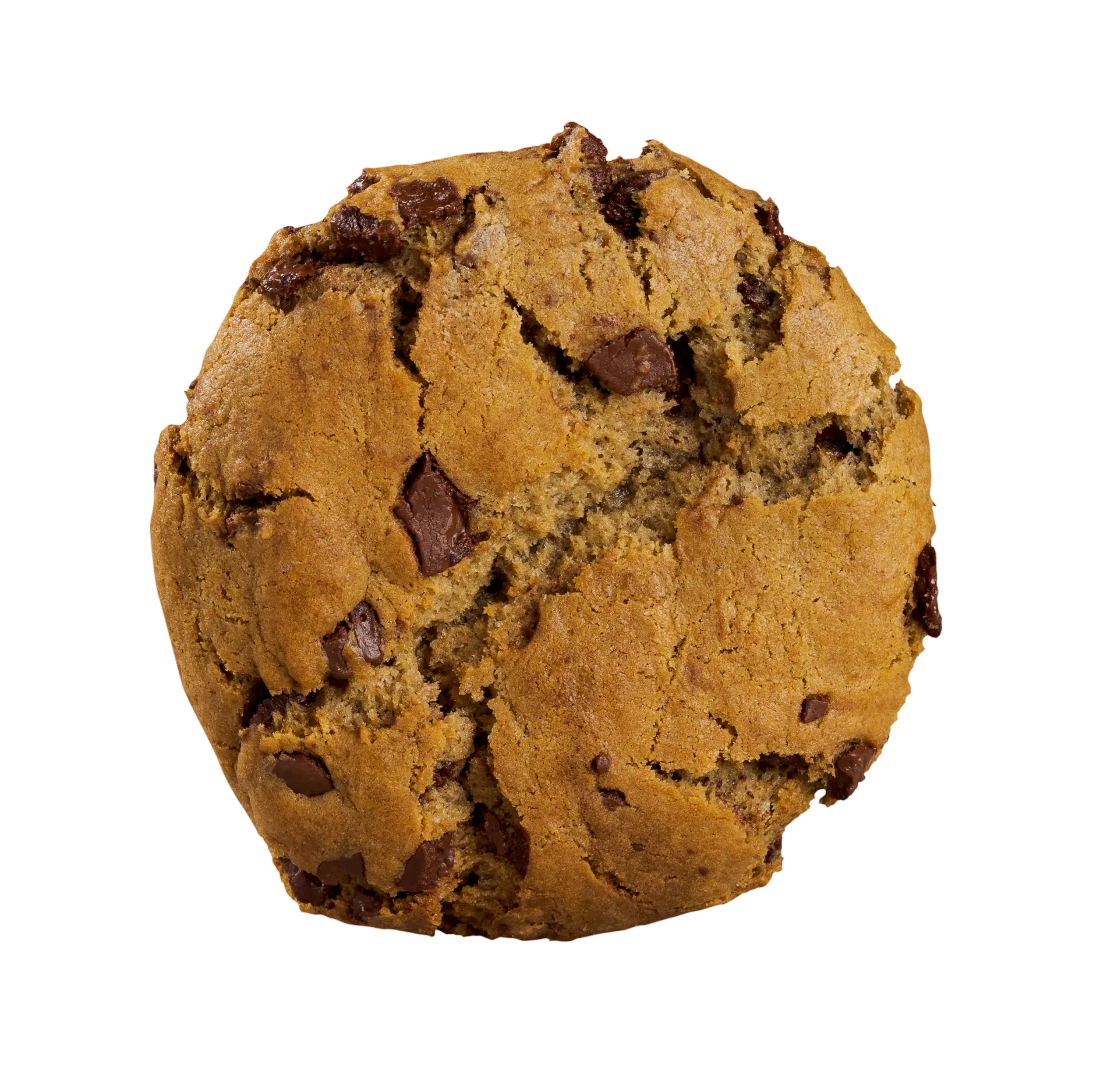 Imagem de ícone do produto Cookie de Laranja com Chocolate da Duckbill