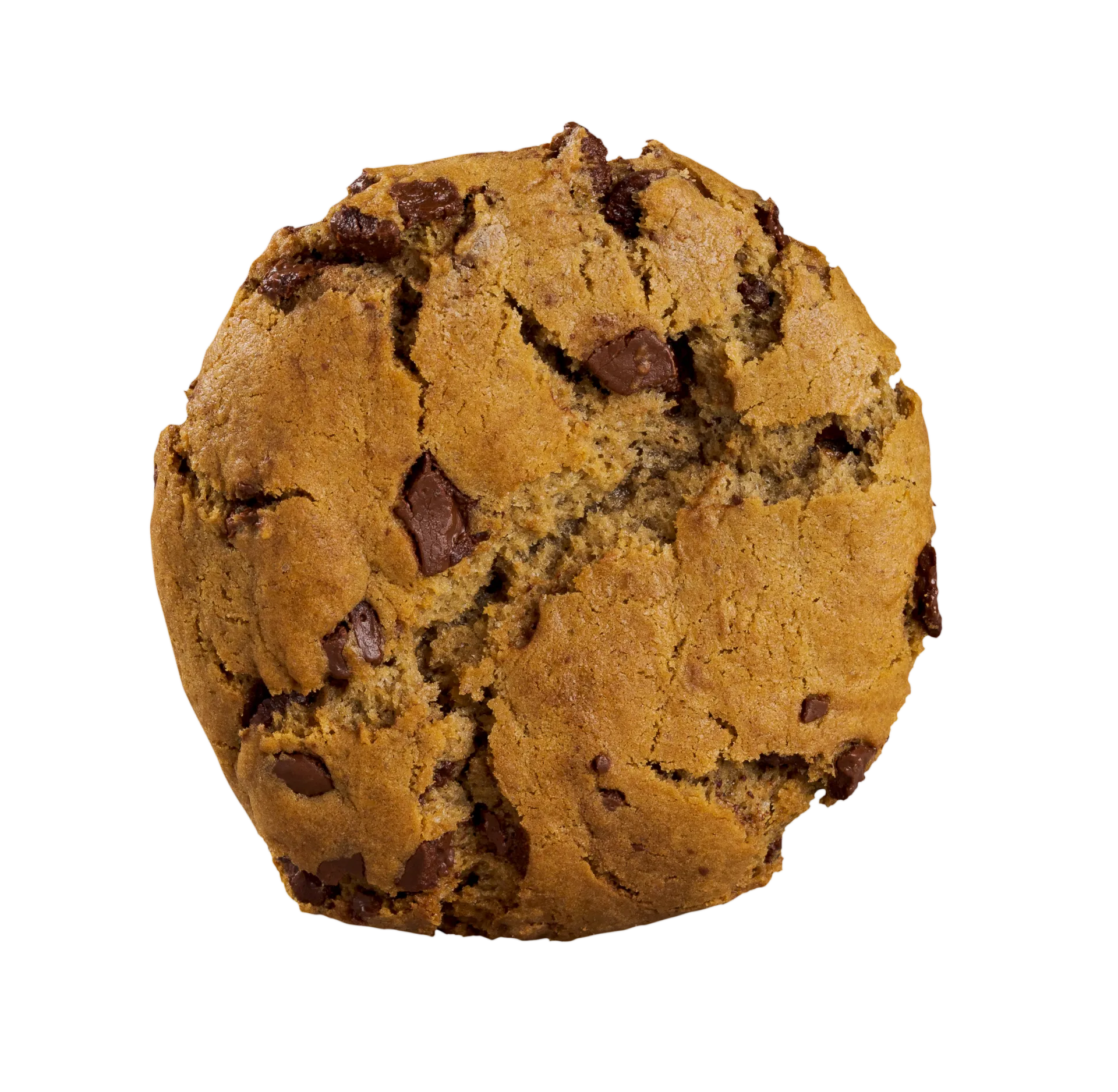 Imagem de Cookie de Laranja com Chocolate exclusivo da Duckbill