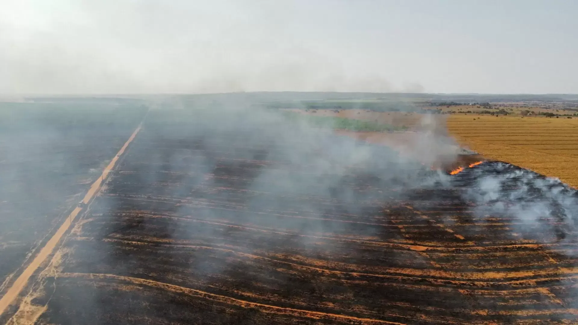 Imagem de compartilhamento para o artigo Incêndio de grandes proporções devasta três fazendas em Cassilândia da MS Todo dia