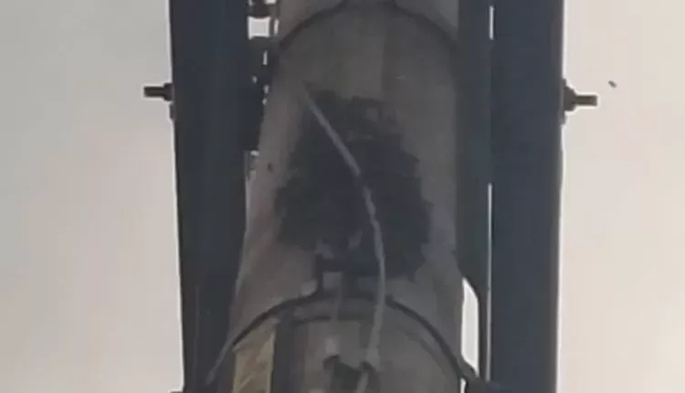 Imagem de compartilhamento para o artigo Casal é atacado por abelhas em rua de Paraiso das Águas da MS Todo dia