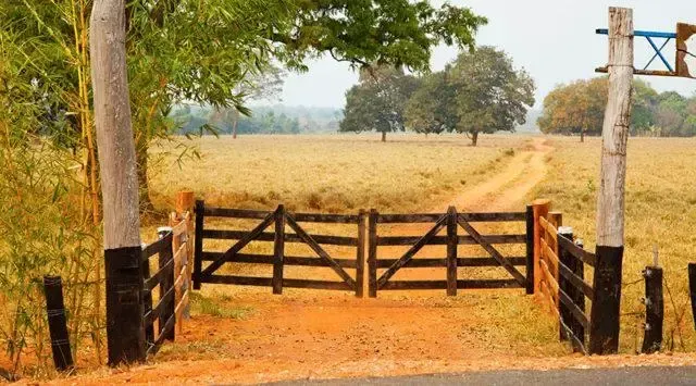 Imagem de compartilhamento para o artigo Dupla tenta invadir fazenda em Cassilândia e é agredida pelos proprietários da MS Todo dia