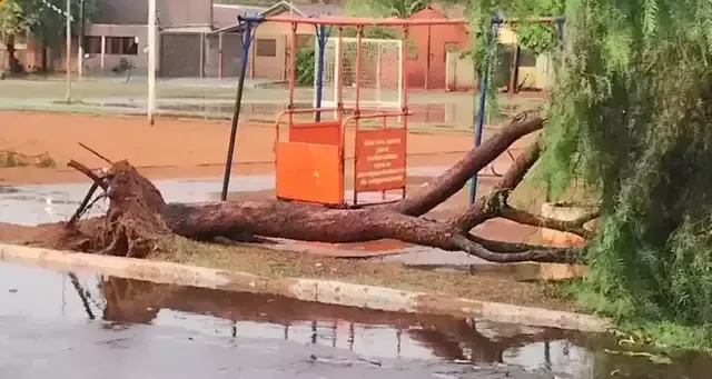 Imagem de compartilhamento para o artigo Chuva com ventos fortes derruba árvores e muro de lixão em São Gabriel do Oeste da MS Todo dia