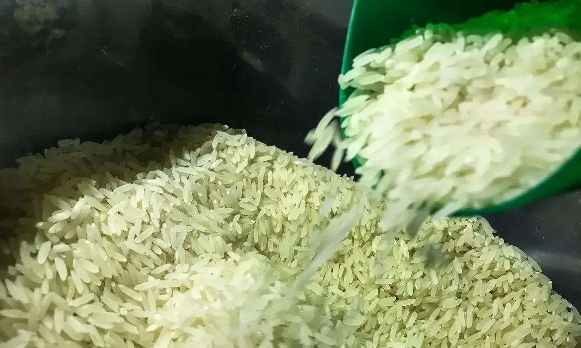 Imagem de compartilhamento para o artigo Associações dizem que estoque de arroz para o Brasil está garantido da MS Todo dia