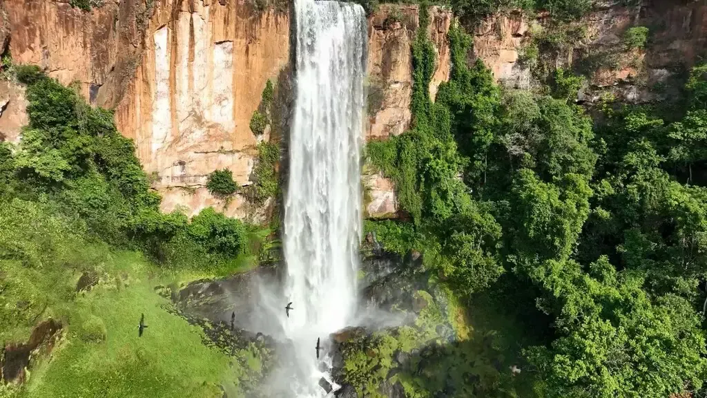 Imagem de compartilhamento para o artigo Cachoeira Água Branca é protegida por RPPN e escapa de represa após quase 20 anos de ameaça em Pedro Gomes da MS Todo dia