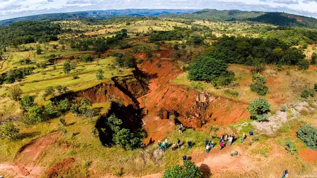 Imagem de compartilhamento para o artigo Projeto inicia restauração no Alto Taquari para preservar nascentes e abastecimento do Pantanal da MS Todo dia