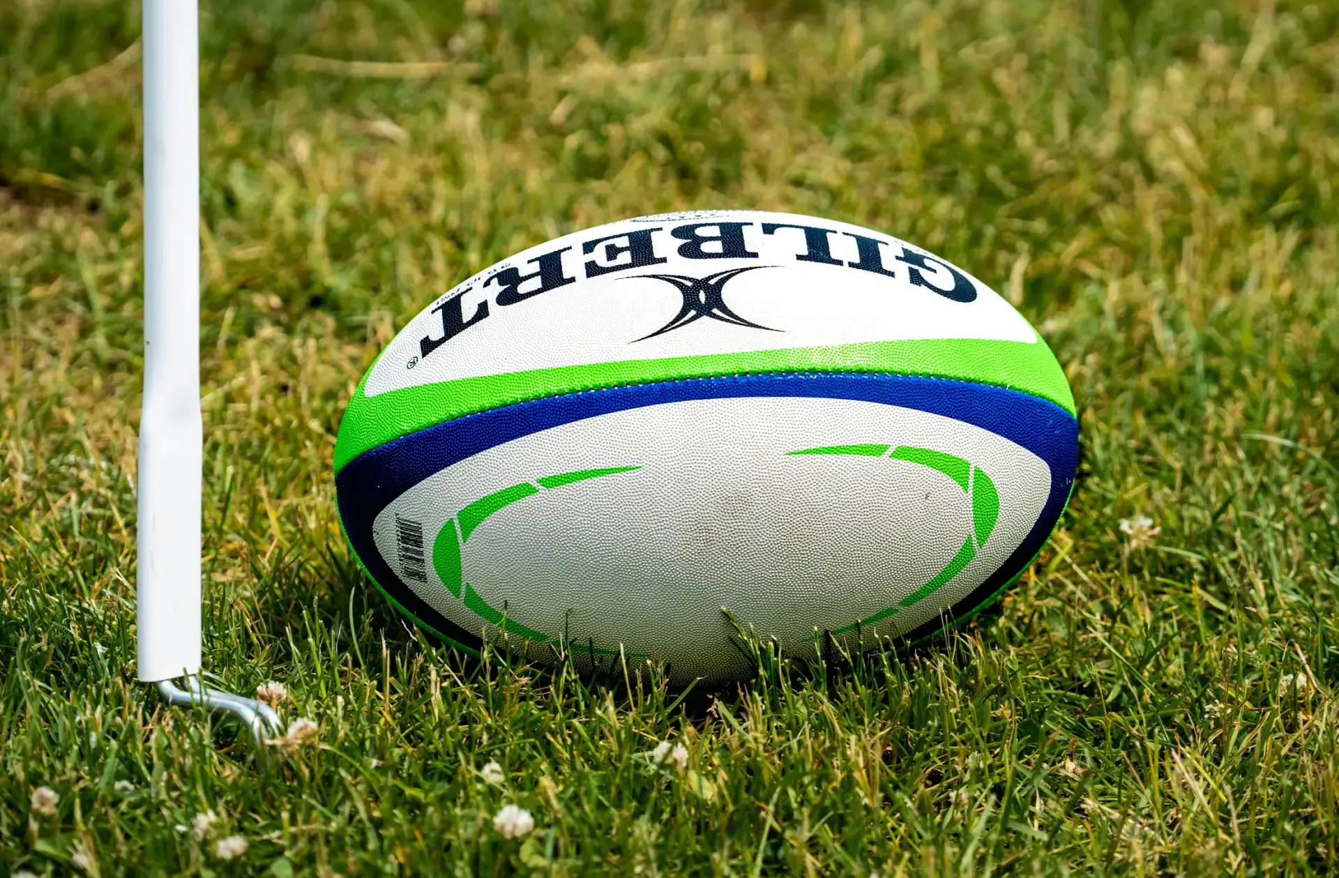 Imagem principal do artigo Opinião da Semana - Brasil Campeão do Mundo de Rugby em 2050: Fato ou Sonho?
