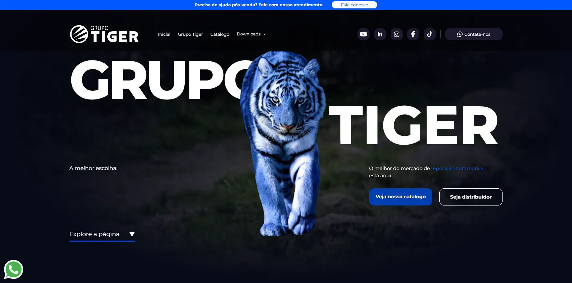 Tela Grupo Tiger