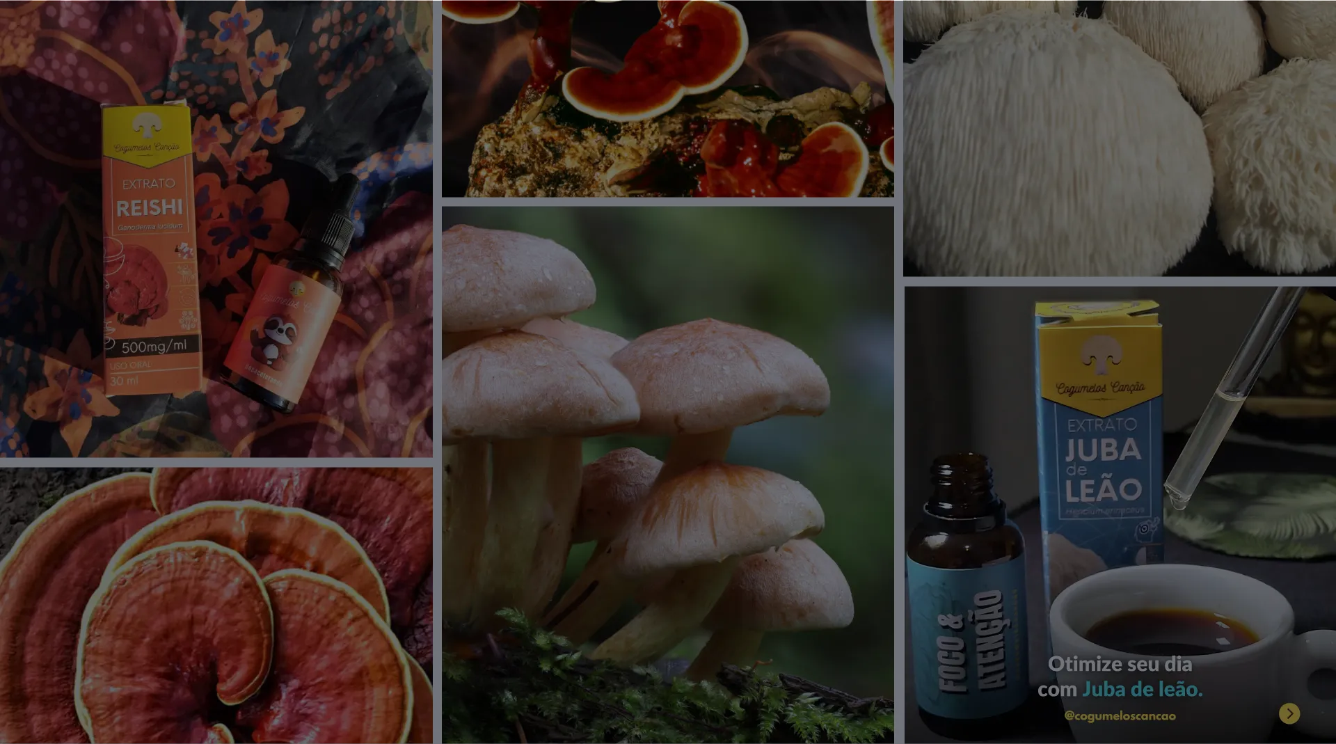 Imagem de fundo instagram