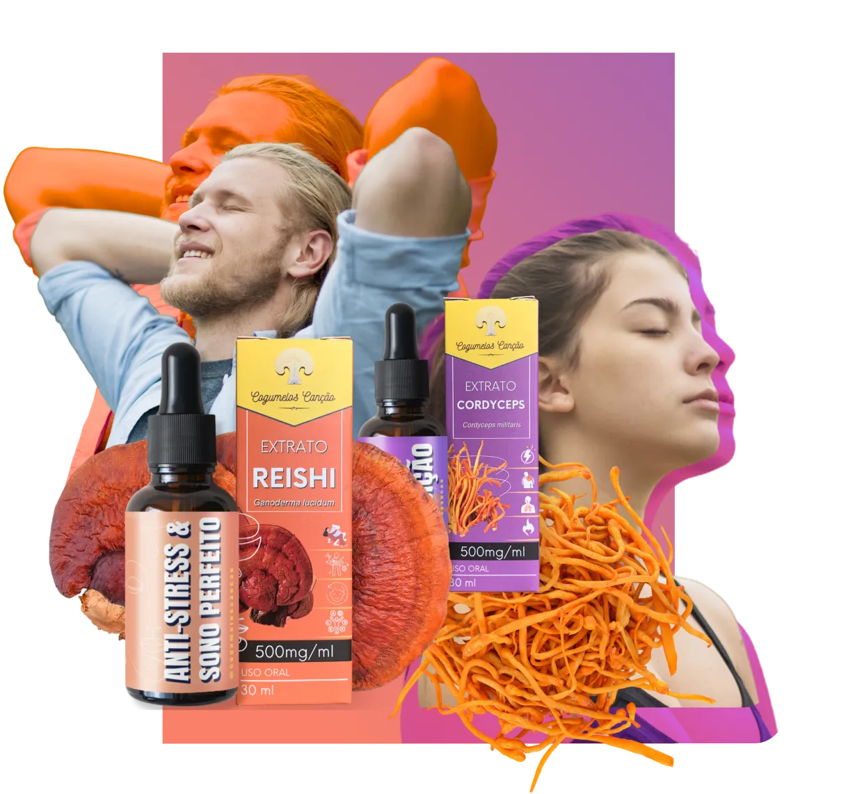 Imagem de indicação de Vitalidade Plena: 2 Cordyceps + 1 Reishi