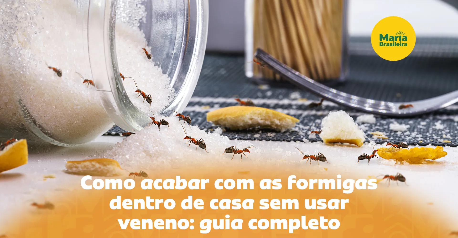 Imagem ilustrativa para o artigo Como acabar com formigas na cozinha de vez com ingredientes naturais e sem usar veneno da Maria Brasileira