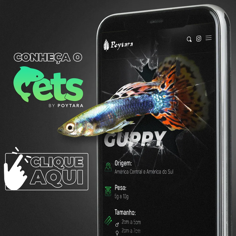 PETS Poytara