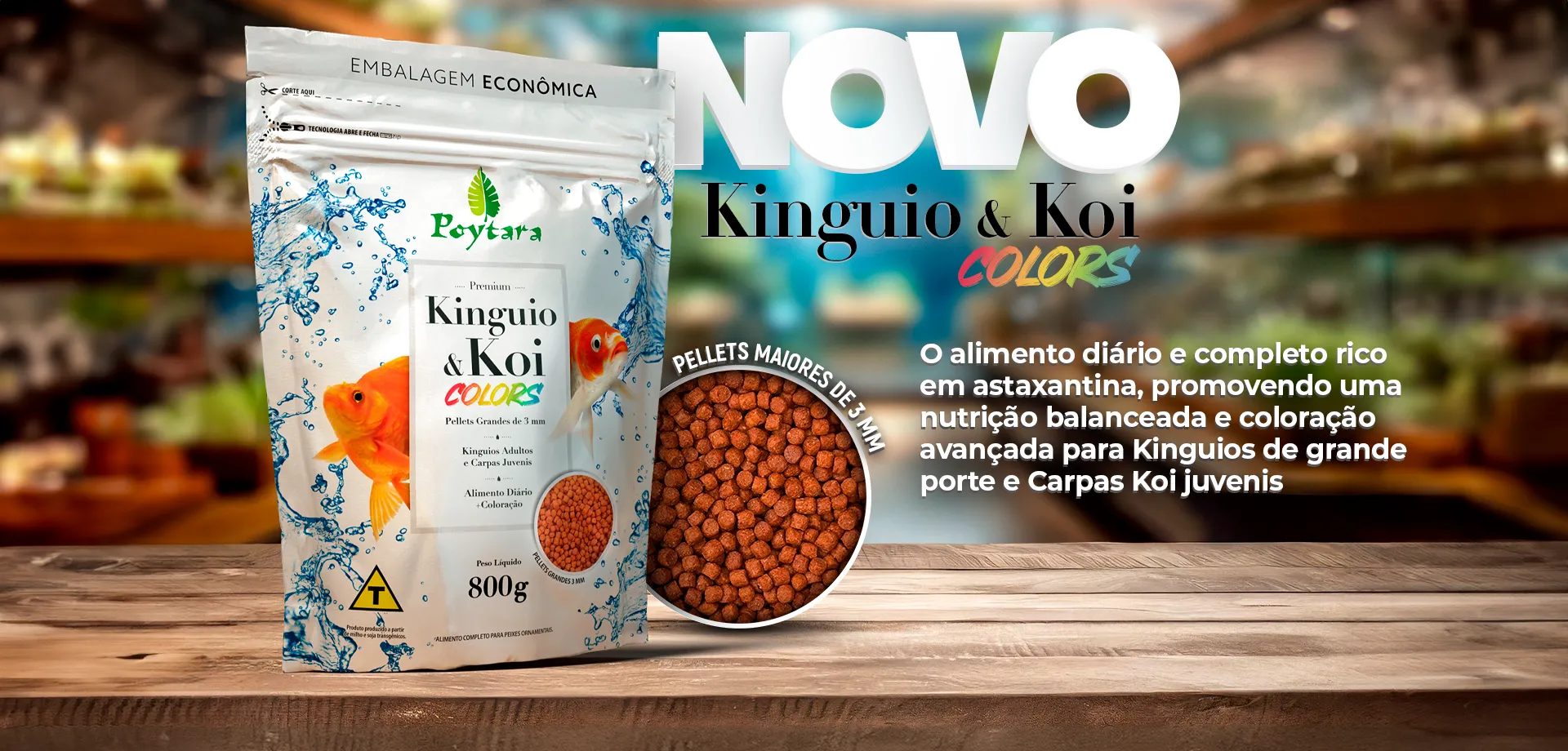 Lançamento Kinguio e Koi Colors