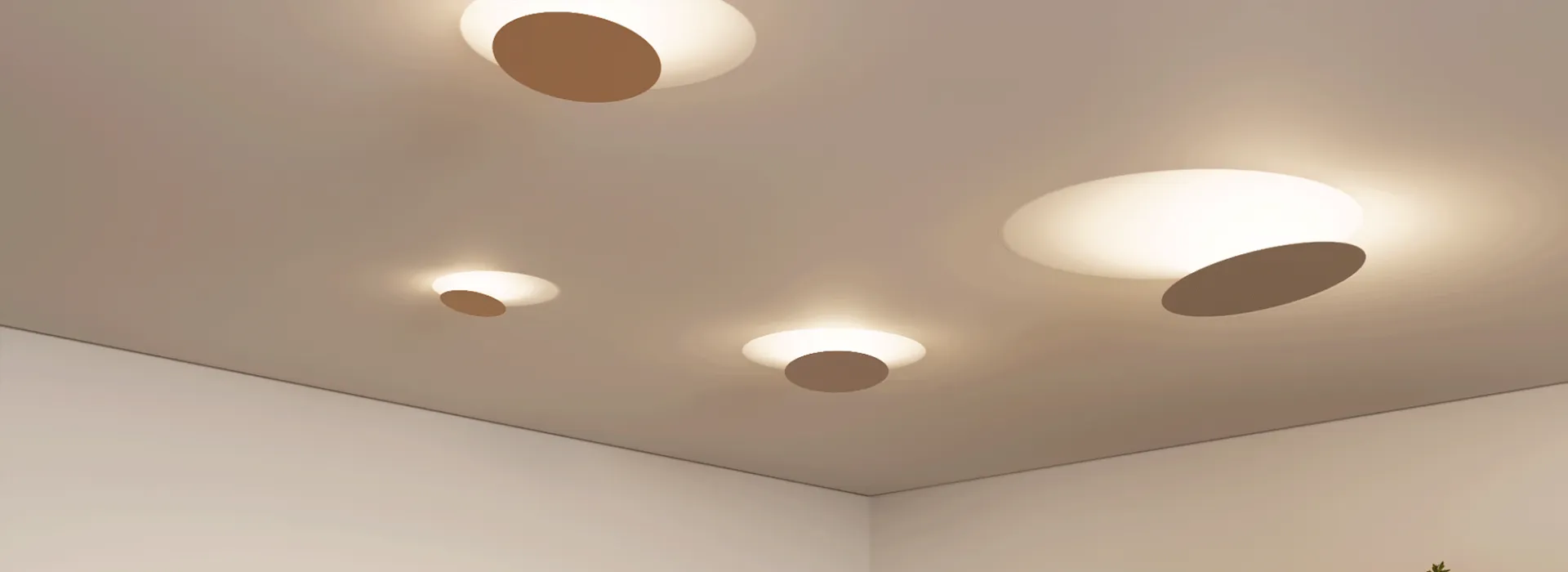 Imagem de Fundo Luzes Mushroom