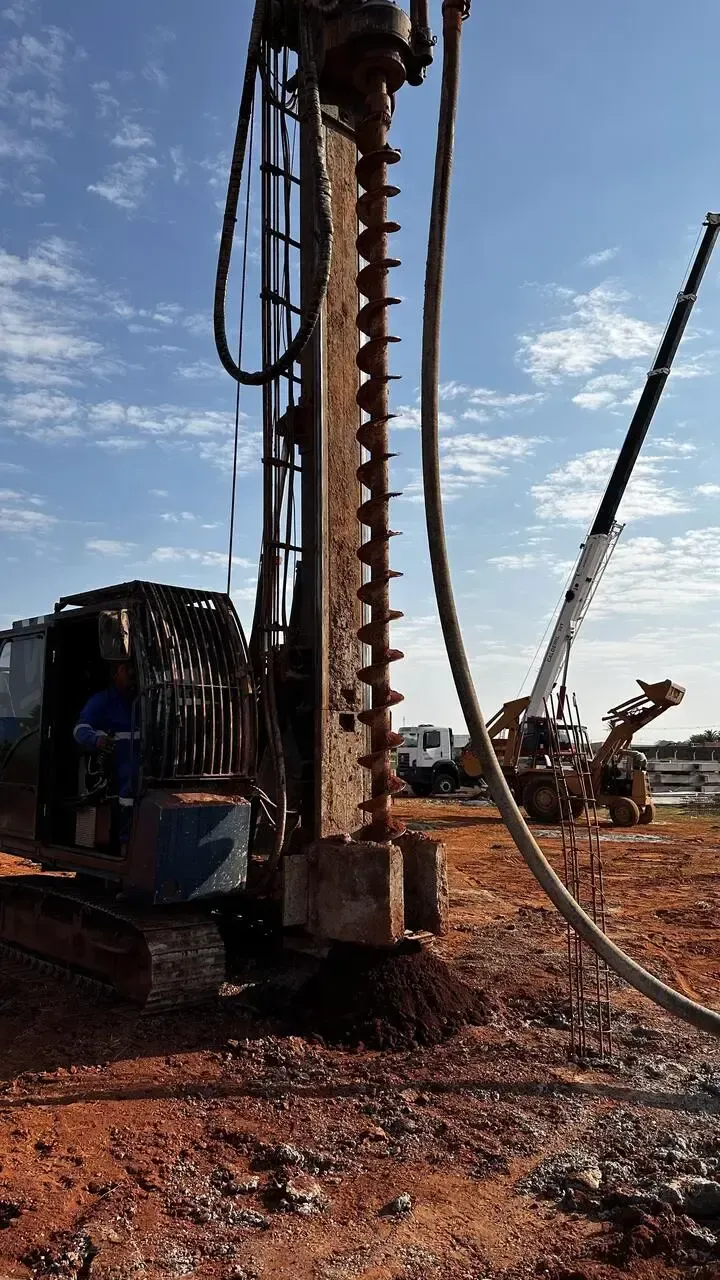Imagem da obra Hovam do Brasil