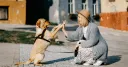 Imagem ilustrativa para Pesquisa mostra que Brasil aparece na segunda posição de tutores de pets mais felizes no mundo 