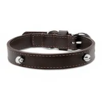 Imagem de Coleira Life for Pets Marrom M - Premium Dog Trip Brasil
