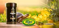 Imagem principal do artigo Reserva Romanetto e Poytara: Parceria para a Saúde e Crescimento Ideal de Tartarugas e Jabutis
