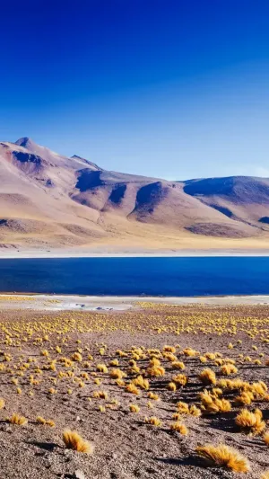 Imagem do web story Deserto do Atacama: o que ver?