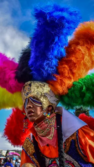 Imagem do web story A história do Carnaval no Brasil