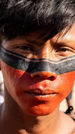 Imagem do web story Os Povos Originários Brasileiros