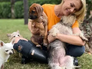 Imagem da notícia Canil de mansão de Ana Hickmann é avaliado em R$ 10 milhões, diz perito judicial
