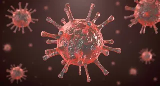 Imagem da notícia Nova variante da HIV está circulando em três estados do Brasil