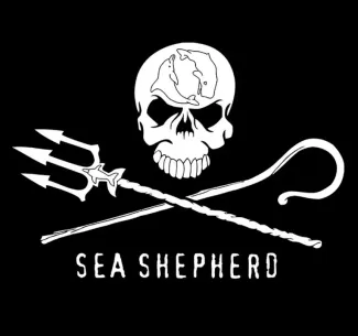 Image from the news Sea Shepherd: Guardians of the Oceans and the Controversial Arrest of Paul Watson