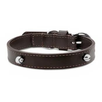 Imagem de Coleira Life for Pets Marrom M - Premium Dog Trip Brasil