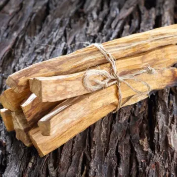 Imagem do produto Palo Santo - 100g