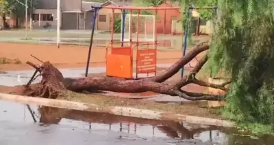 Imagem da notícia Chuva com ventos fortes derruba árvores e muro de lixão em São Gabriel do Oeste