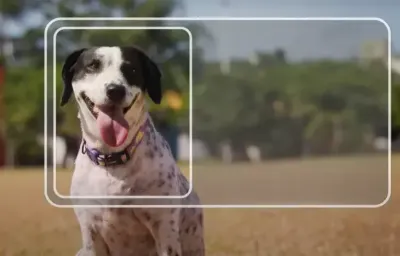 Imagem da notícia Mato Grosso do Sul implementa Registro Geral Animal gratuito e digital para pets