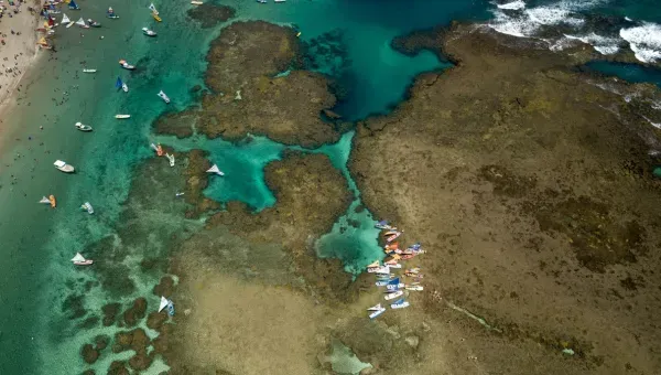 Imagem de Porto de Galinhas