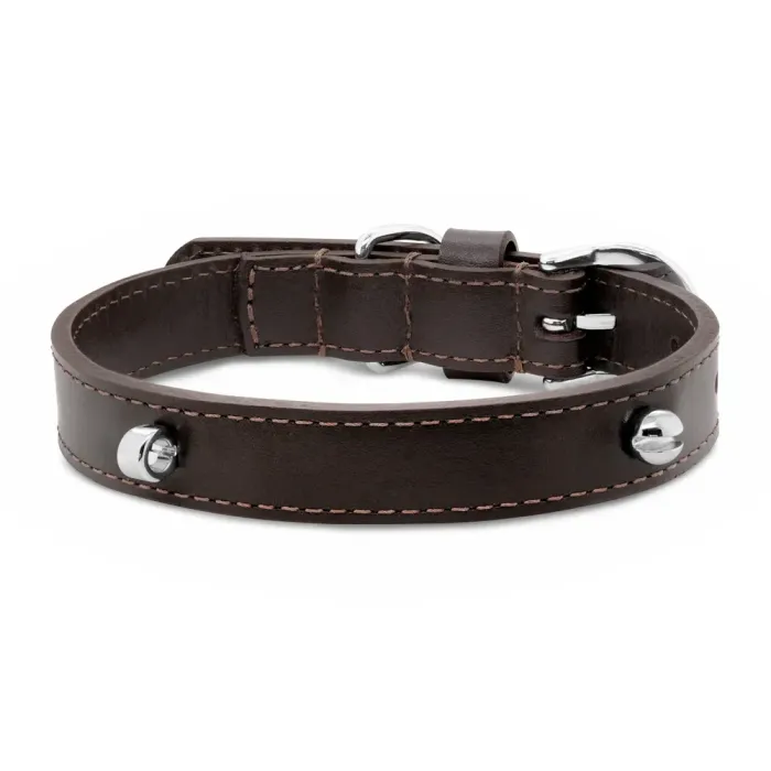 Imagem de Coleira Life for Pets Marrom M - Premium Dog Trip Brasil