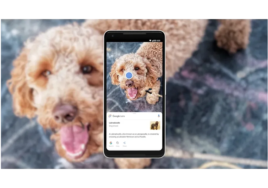 Imagem google_lens