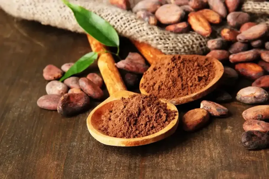 Imagem cacau-posto-treino