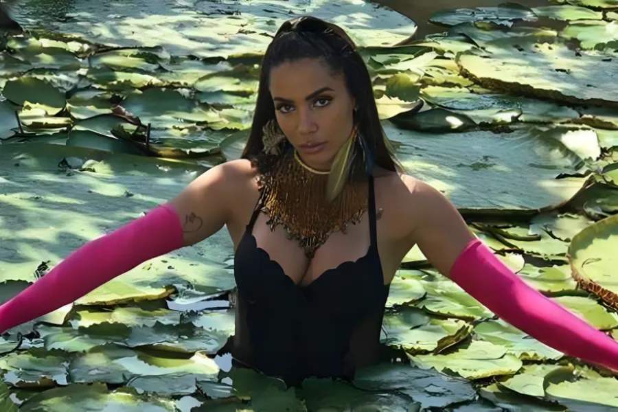 Imagem anitta-estilista