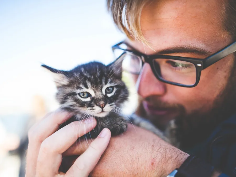 Imagem gato-humano
