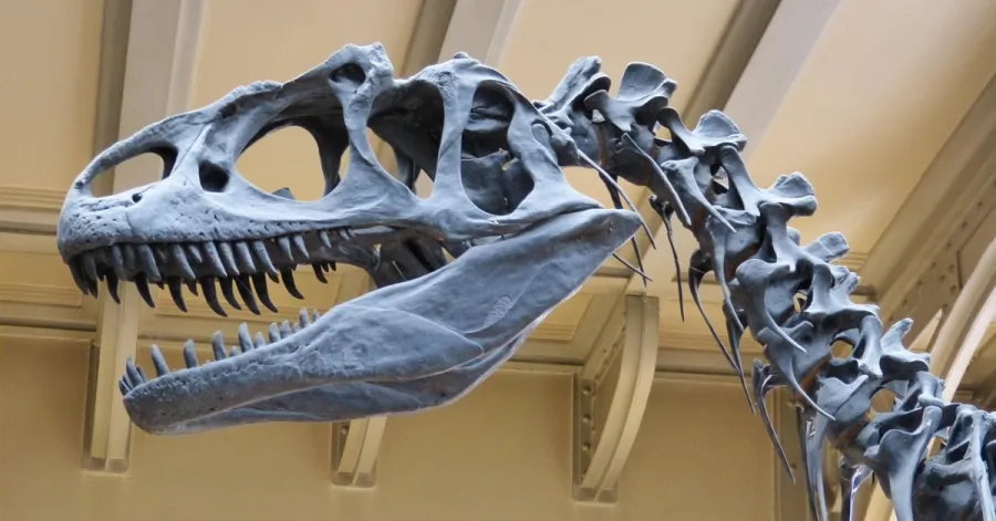 Imagem dino-esqueleto